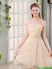 Champagne A Line Strapless Appliques Junior Dress