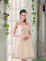 Popular A Line Appliques Junior Dress with One Shoulder