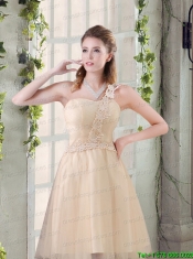 Popular A Line Appliques Junior Dress with One Shoulder