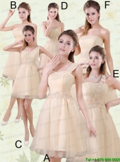 Straps A Line Champagne Prom Dress with Appliques