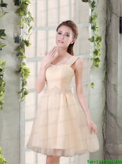 Straps A Line Champagne Prom Dress with Appliques