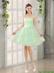 The Most Popular Strapless A Line Junior Dress with Lace Up