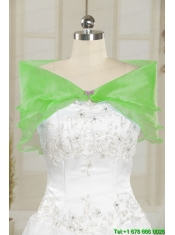 Fast Delivery Strapless Appliques Quinceanera Dresses in Spring Green