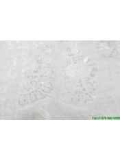 Classic One-Tier Lace Appliques Edge Wedding Veil