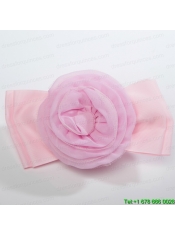 White Tulle Cheap Hairpins Birdcage Veils with Lace