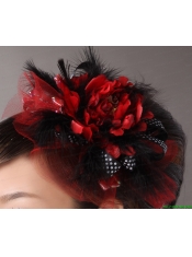 Custom Made Multi-color Imitation Feather With Tulle In 2013 New York