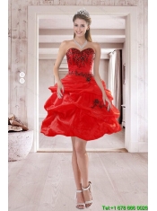 2015 Pretty Sweetheart Junior Dresses with Embroidery and Ruffles