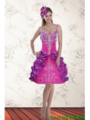 Classical Multi Color Sweep Train 2015 Quince Dresses with Pick Ups and Embroidery