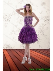 2015 New Styles Purple Dresses for Quince with Appliques and Ruffles