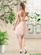 New Style Strapless Appliques and Belt Dama Dresses in Champagne