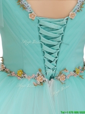 Exquisite V Neck Mint Sweet 16 Dresses with Appliques