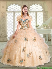 Gorgeous Sweetheart Quinceanera Gowns with Appliques and Ruffles