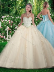 2016 Simple Princess Beading and Sweet 16 Gowns Dresses