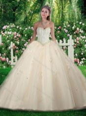 2016 Simple Princess Beading and Sweet 16 Gowns Dresses