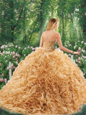 Luxurious Brush Train Appliques Quinceanera Dresses for 16 Brithday Party