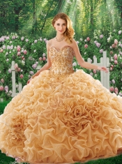 Luxurious Brush Train Appliques Quinceanera Dresses for 16 Brithday Party
