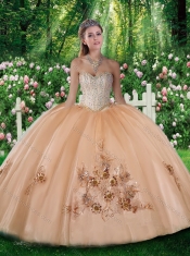 Pretty Ball Gown Beading and Appliques Quinceanera Dresses