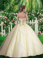 Pretty Ball Gown Sweetheart Quinceanera Dresses in Champagne