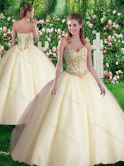 Pretty Ball Gown Sweetheart Quinceanera Dresses in Champagne