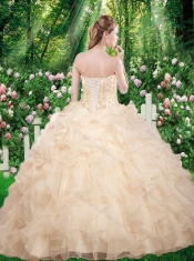 Pretty Sweetheart Beading Quinceanera Gowns for Fall