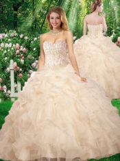 Pretty Sweetheart Beading Quinceanera Gowns for Fall