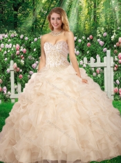 Pretty Sweetheart Beading Quinceanera Gowns for Fall