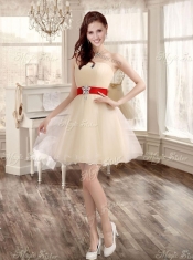 Classical Applique and Ruffled Champagne Sweet 16 Dress and Short Dama Dresses