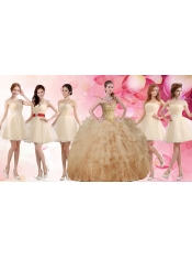 Classical Applique and Ruffled Champagne Sweet 16 Dress and Short Dama Dresses