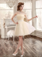 Classical Applique and Ruffled Champagne Sweet 16 Dress and Short Dama Dresses