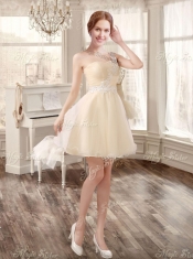 Classical Applique and Ruffled Champagne Sweet 16 Dress and Short Dama Dresses