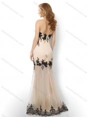 Popular Tulle Column Applique Dama Dress in Champagne