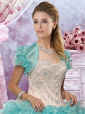 Classical  Applique and Ruffled Quinceanera Dress in Champagne and Aqua Blue