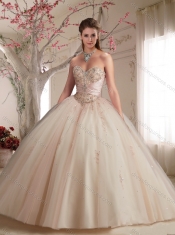 Classical Big Puffy Beaded and Applique Tulle Champagne Quinceanera Gown