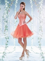 Classical Brush Train Detachable Quinceanera Dresses with Beading and Ruffles
