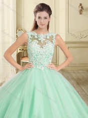 Classical Really Puffy Applique Scoop Sweet 16 Dress with Open Back