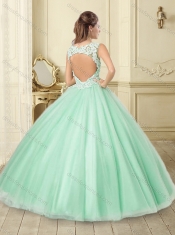 Classical Really Puffy Applique Scoop Sweet 16 Dress with Open Back