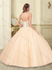 Lovely Big Puffy Champagne Quinceanera Dress with Beaded Bodice