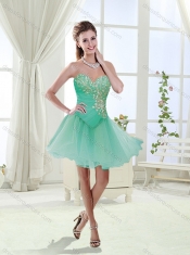 Exquisite Beaded Big Puffy Detachable Quinceanera Dresses with Brush Train