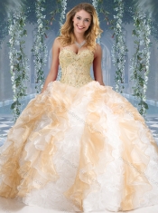 Fashionable Organza and Rolling Flowers Big Puffy Sweet 16 Dresses in Champagne and White