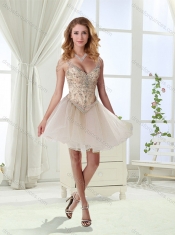 Sexy Deep V Neck Mint Detachable Detachable Dresses with Beading and Appliques