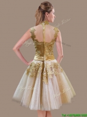 Elegant A Line High Neck Champagne Prom Dress with Appliques and Bowknot