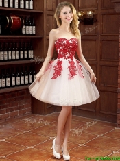 Hot Sale Mini Length Appliques Dama Dresses in White