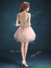 See Through Scoop Baby Pink rom Dresses with Appliques and Ruffles