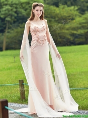 Unique Bateau Watteau Train Light Pink Dama Dresses with Applique