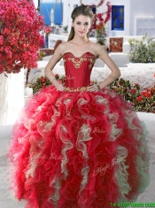 Elegant Applique and Ruffled Big Puffy Quinceanera Dress in Organza