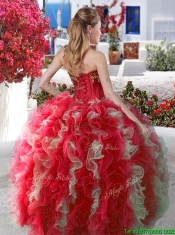 Elegant Applique and Ruffled Big Puffy Quinceanera Dress in Organza