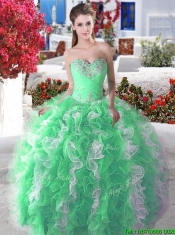 Wonderful Organza Big Puffy Sweet 16 Dress with Beading and Ruffles
