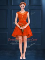 Fashion Sleeveless Lace Clasp Handle Dama Dress for Quinceanera