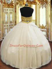 Ball Gowns Ball Gown Prom Dress Champagne Halter Top Tulle Sleeveless Floor Length Zipper