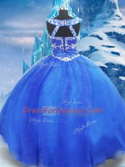 Ball Gowns 15th Birthday Dress Blue V-neck Organza Sleeveless Floor Length Zipper